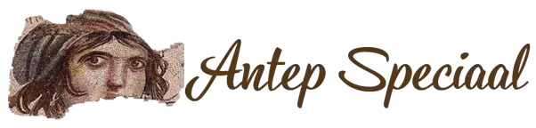 antepspeciaal.com